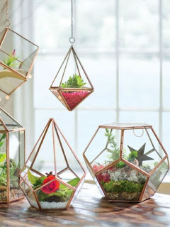 terrarium nasıl yapılır?