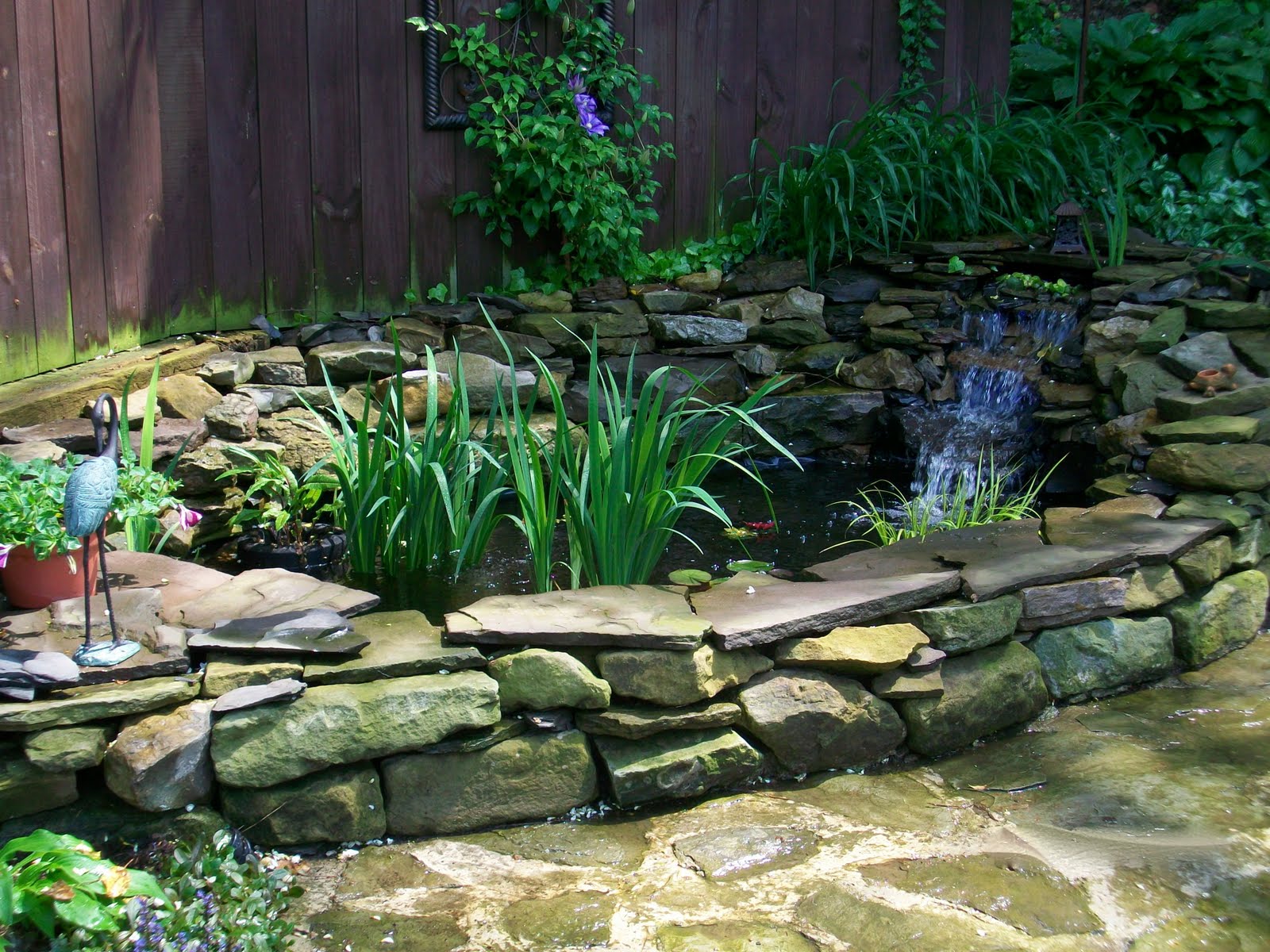 backyard oasis koi pond Building