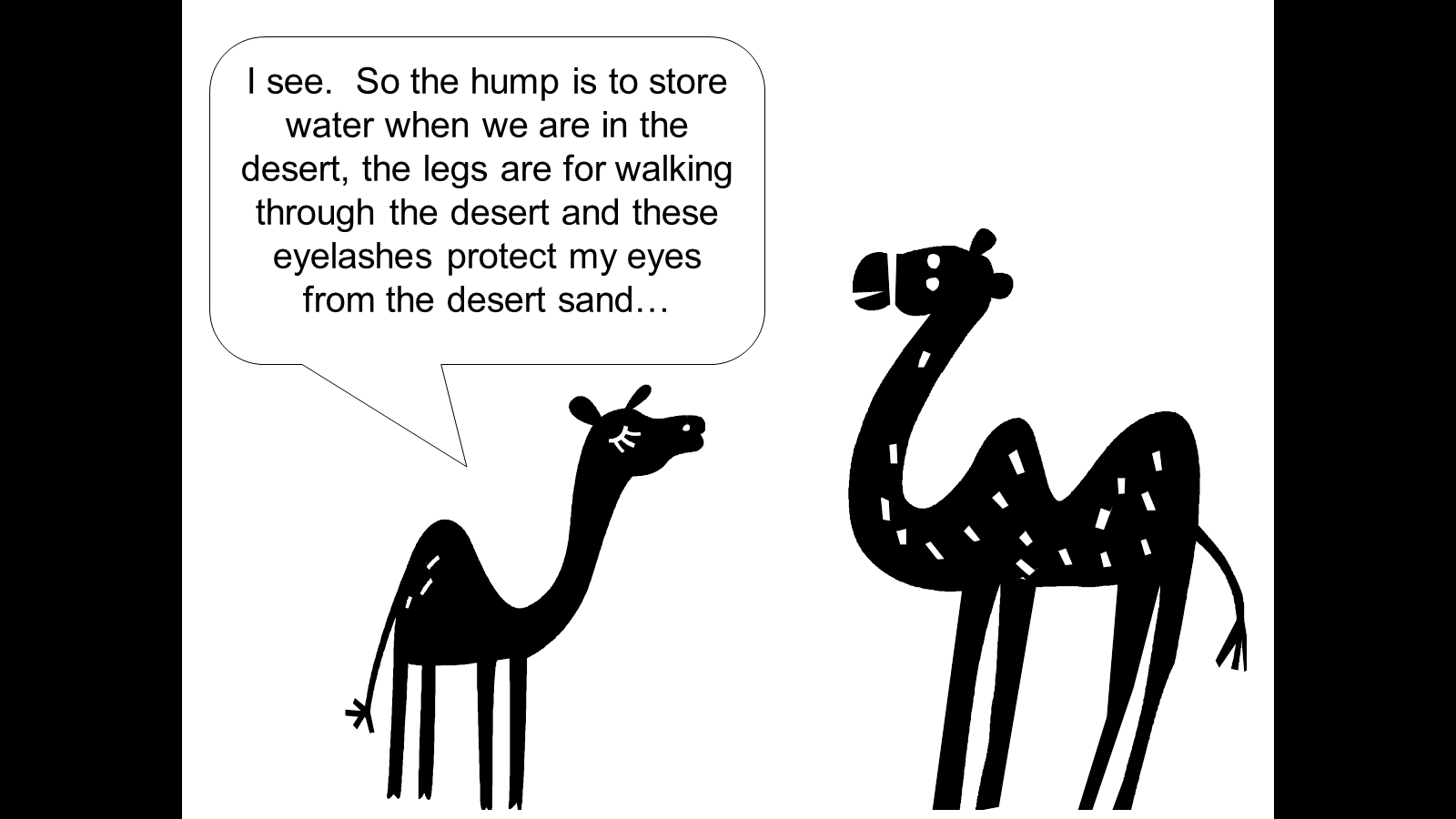 Knowledge Share Zone: A Camel Story