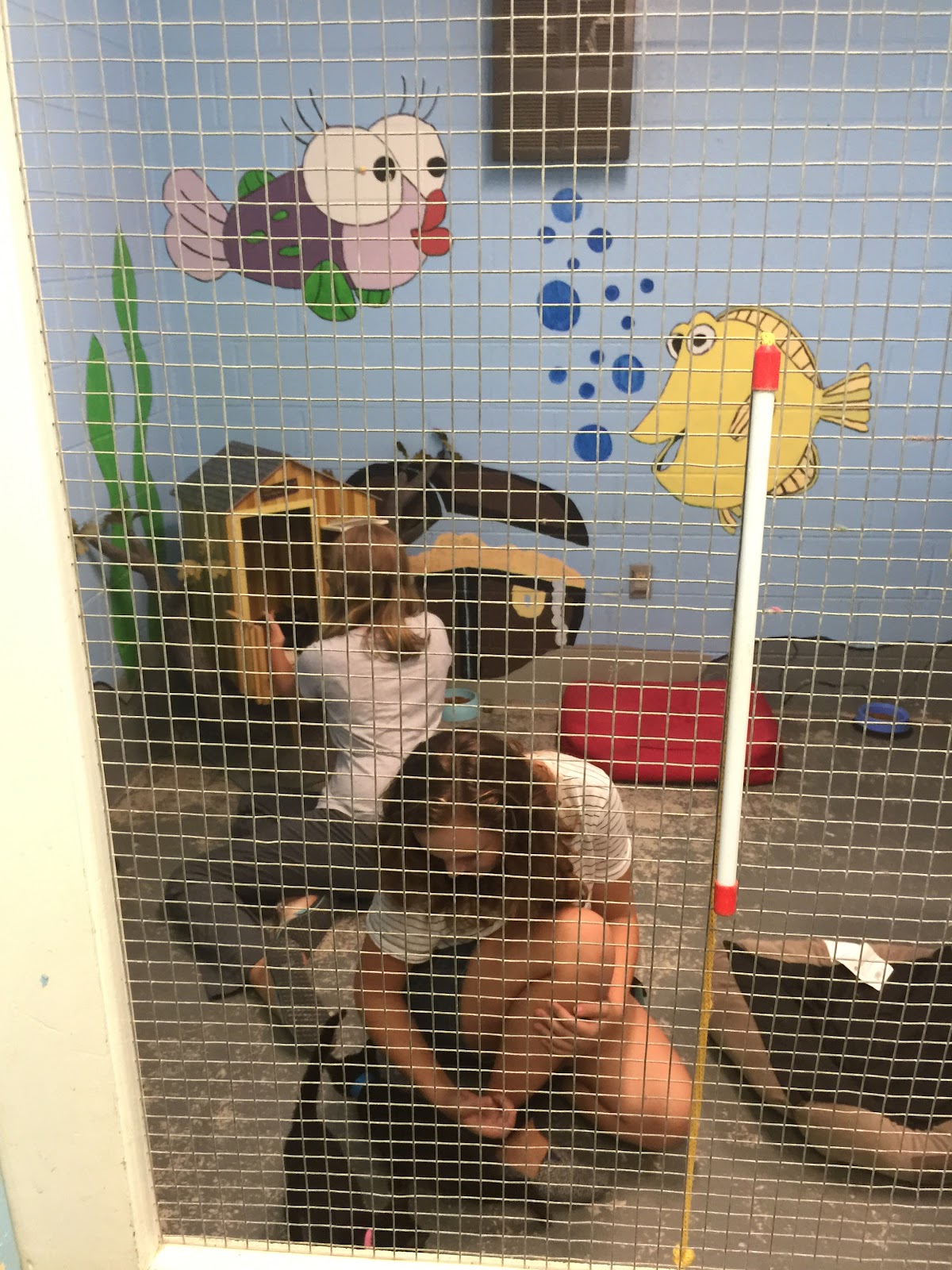 Frascati Lane 2016: LSBR Donation