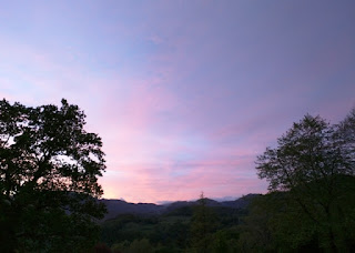 Pink and purple sunset with trees, Ffestiniog, Wales
