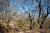 The Walnut Grove of Arslanbob