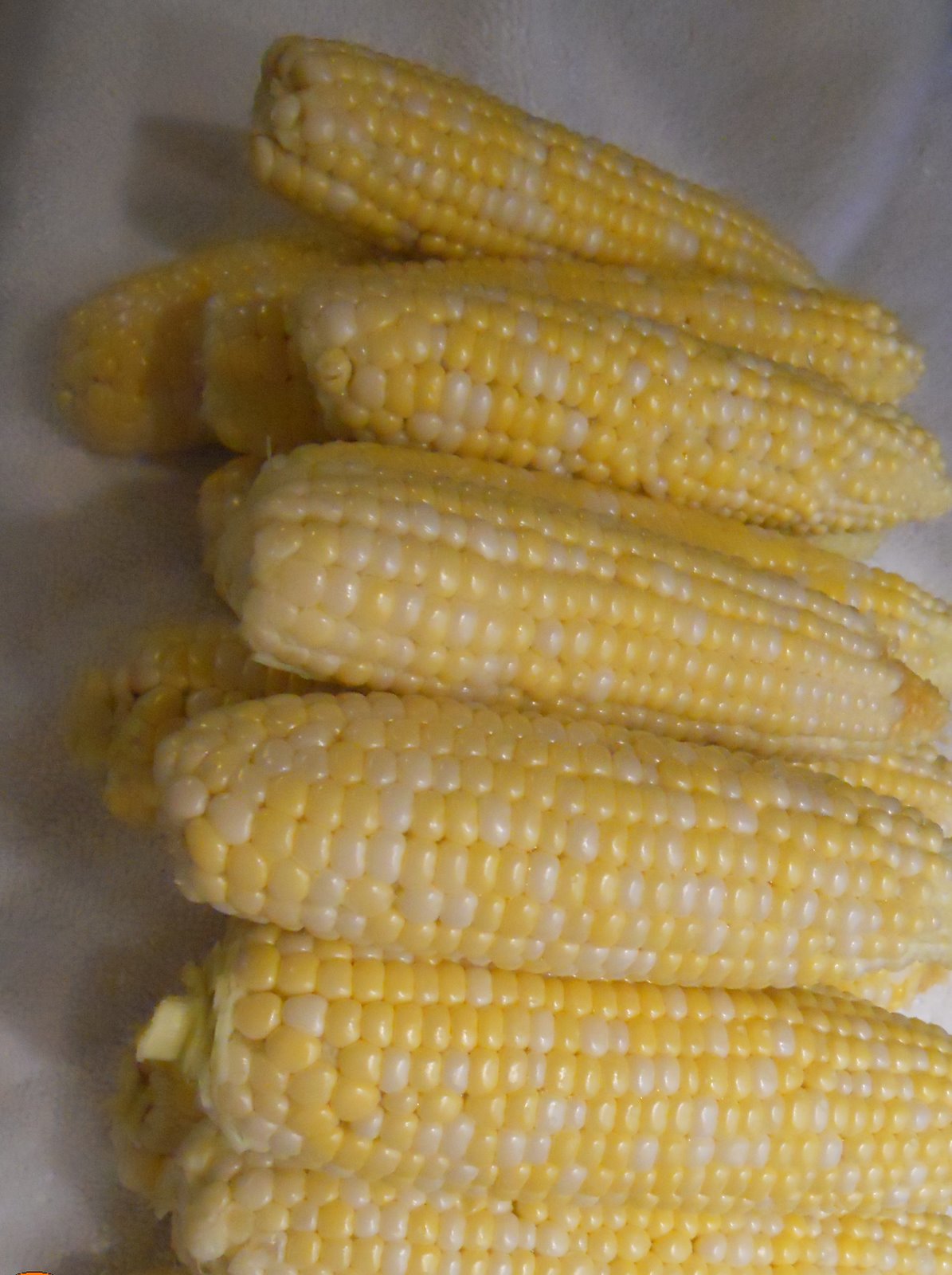 Home Garden Corn Harvest Peaches and Cream