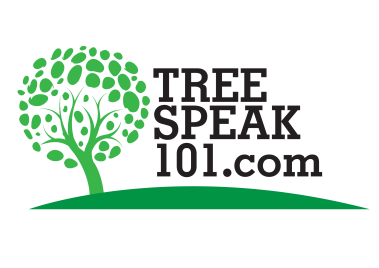 Tree Speak 101