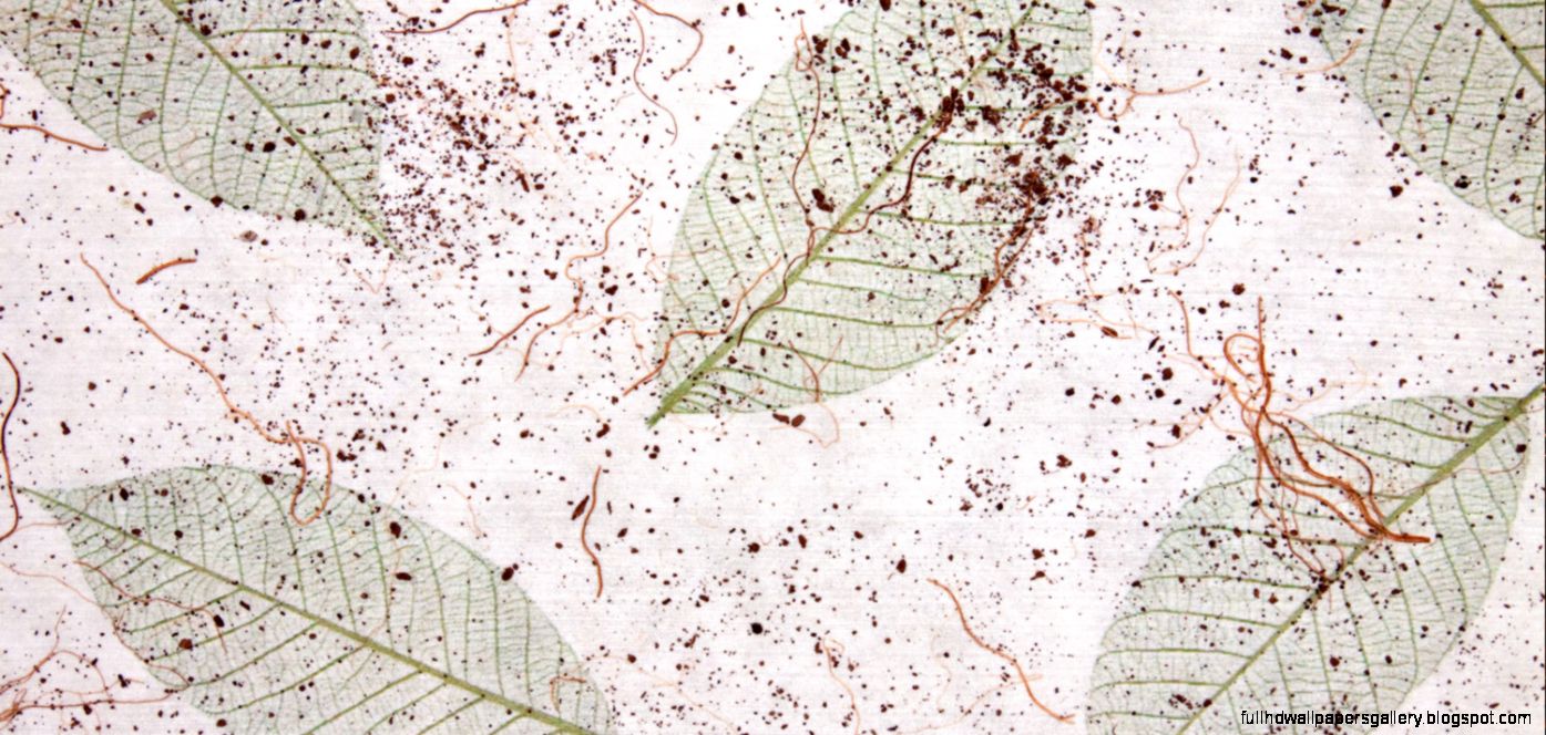 Wood Wallpapers by Lenderink Technologies