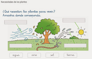 http://www.ceiploreto.es/sugerencias/cp.juan.de.la.cosa/1_2/cono/actividades/08/03/visor.html