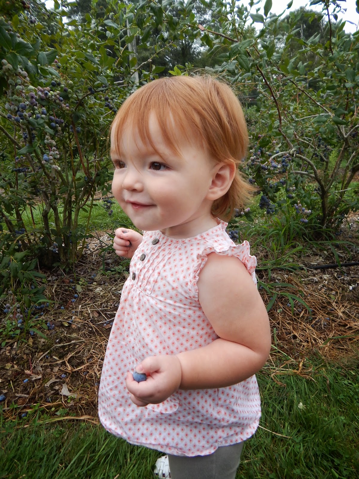 Flourishing in the Shade And they're off!