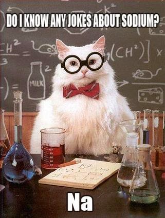 Chemistry cat