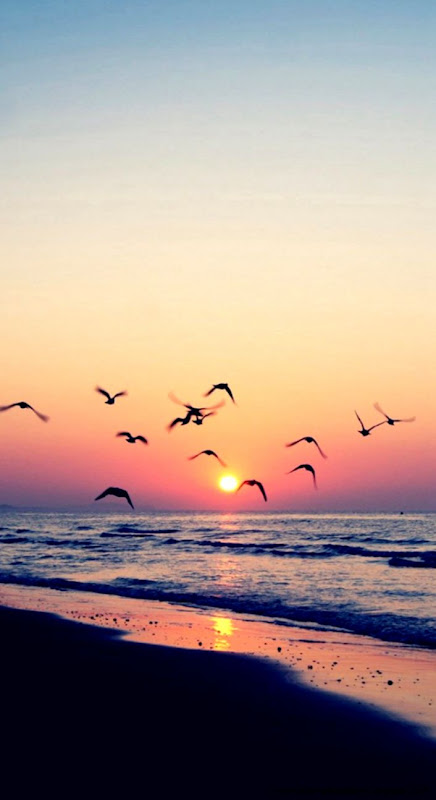sunset iPhone 5s Wallpapers  iPhone Wallpapers iPad wallpapers