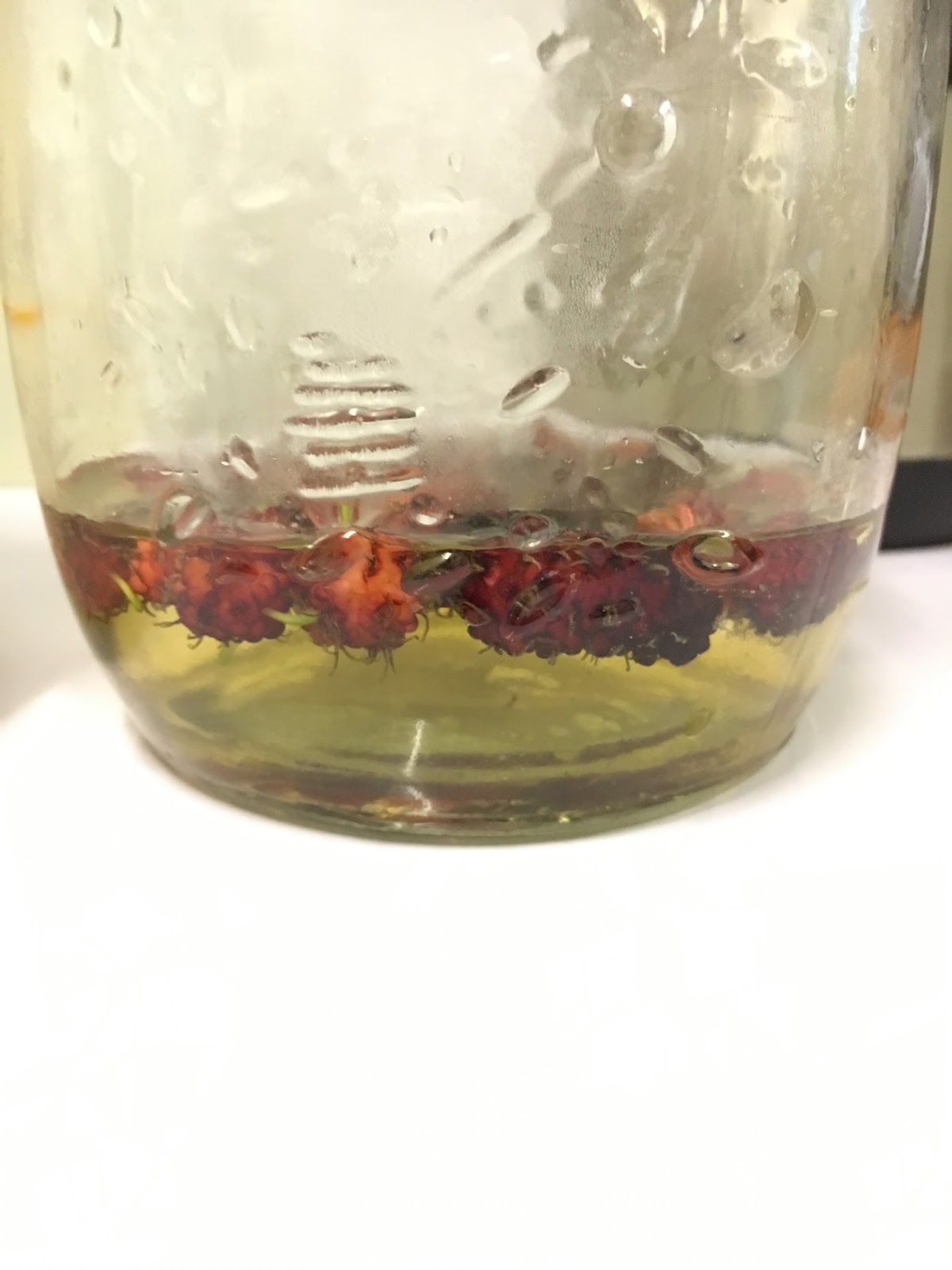 Wendy'S Small Small World Natural Yeast Starter Raisin Natural yeast