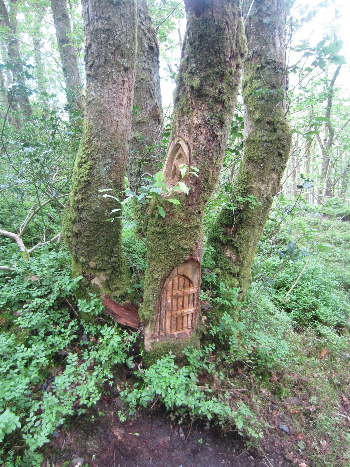 Hoy toca visitar... DOON HILL FAIRY TRAIL (BOSQUE DE LAS HADAS)