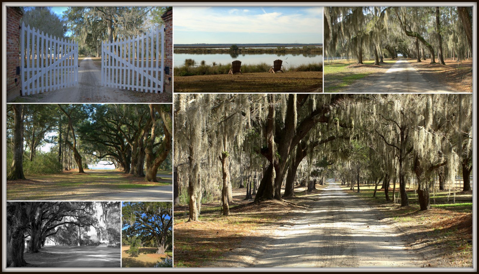 Fair & Lane Properties Paul & Dalton Plantation, ACE Basin