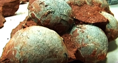 China has dug up blue Dinosaur eggs.