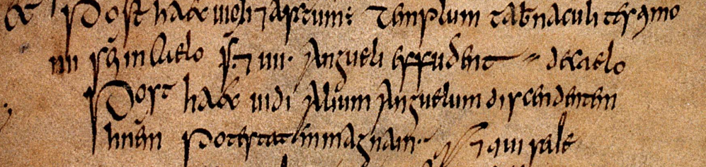 (Manuscript: Irish miniscule, Apocalypse.