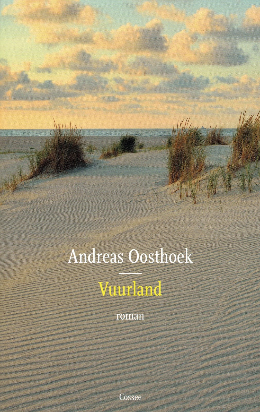 MIJN BOEKENKAST Andreas Oosthoek Vuurland
