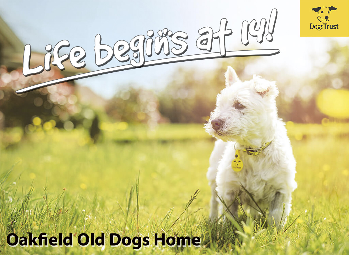 Hubble & Hattie Oakfield Life begins at 14!