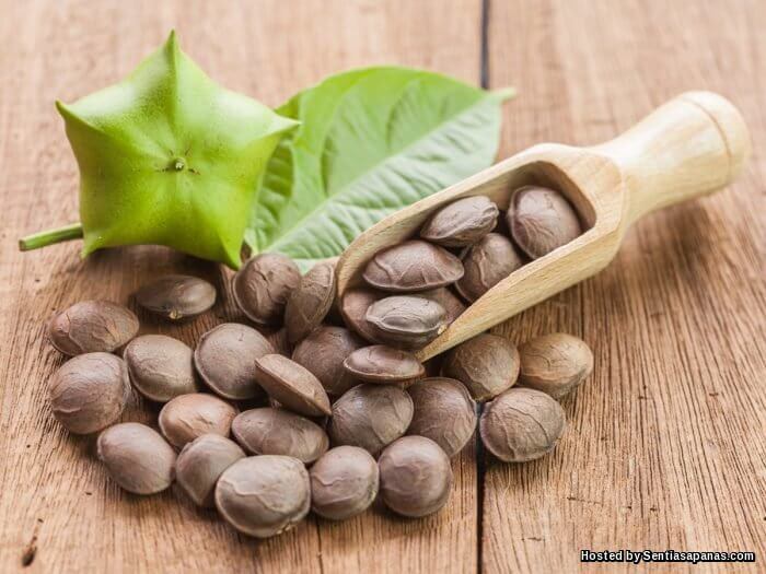 Khasiat Kacang Sacha Inchi Tinggi Kandungan Omega 3 SENTIASA PANAS