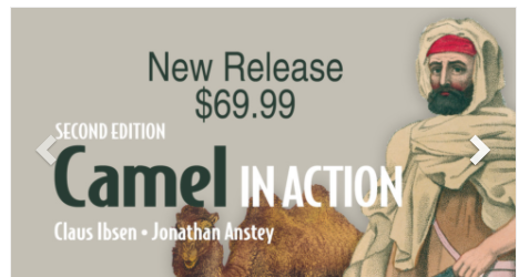 Camel in Action 2nd edition book - 50% discount today