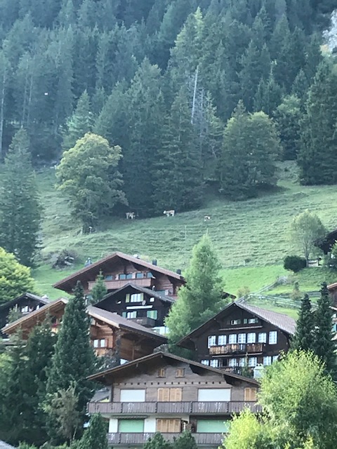 スイス・アデルボーデンにあるカンブリアン・ホテルのお部屋からの眺め　放牧された牛のベルの音が心地よい