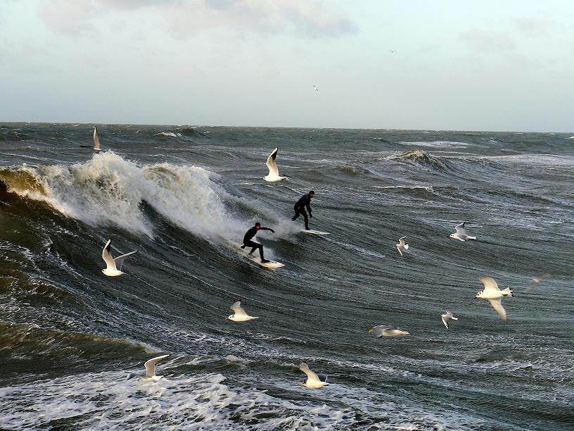 Hot Trips 14 januari surf, Scheveningen