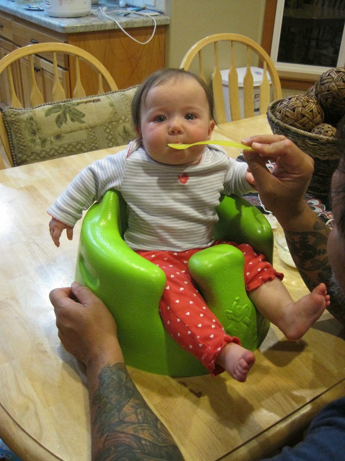 In The Hartland Ella s First Solid Food