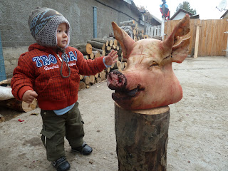 Carnea de porc la copii