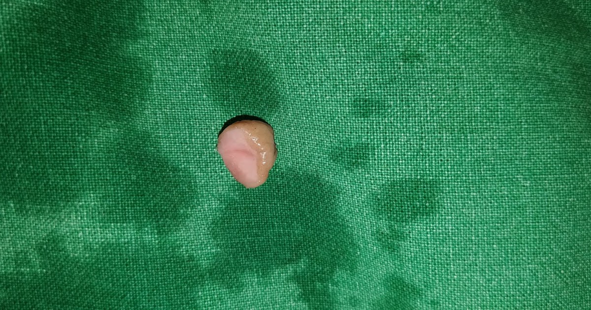 ����� ������ ������� �� ������� ����� ����