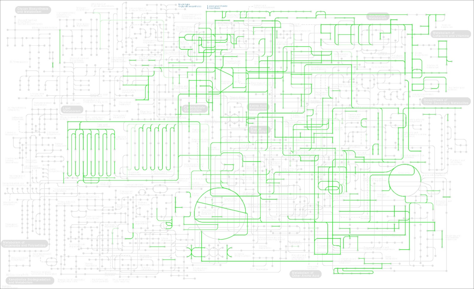 Armchair Biology KEGGWatch, part I