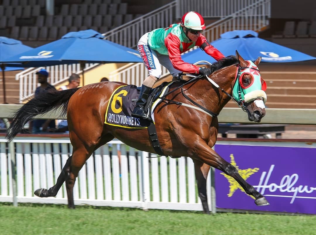 CHANTYMAN CHANTYMAN - horse winning at Hollywoodbets Scottsville