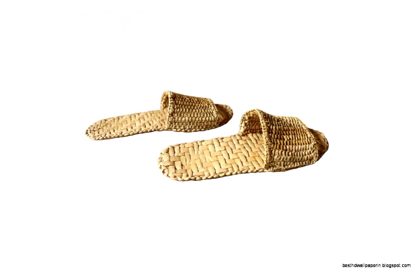 – Bring Home the Northeast Discovering the Northeast