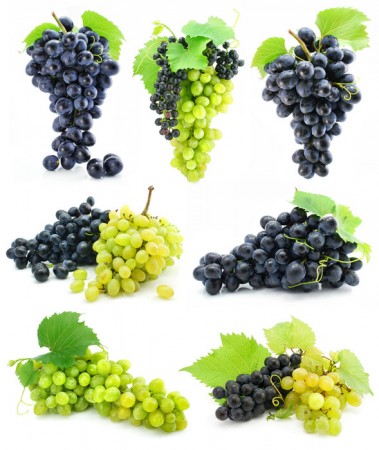 Grape ( Vitis ) | Health and Natural herbal healing Natural remedies ...