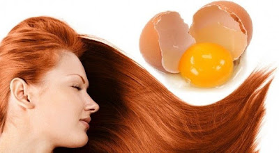 yasamkedisi blogspot com