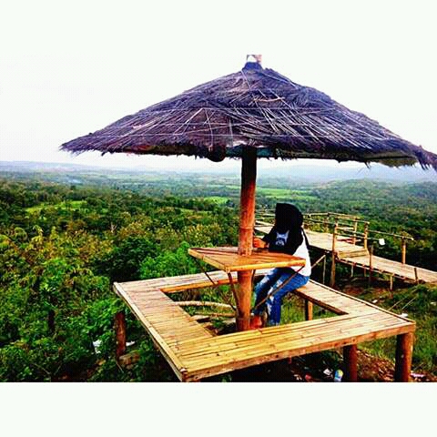 Puncak Padaelo Menjadi Wisata Baru Yang Ramai Dikunjungi Puncak Padaelo Menjadi Wisata Baru Yang Ramai Dikunjungi