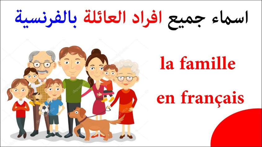 شجرة العائلة بالفرنسية افراد العائلة مع شرح بالعربية