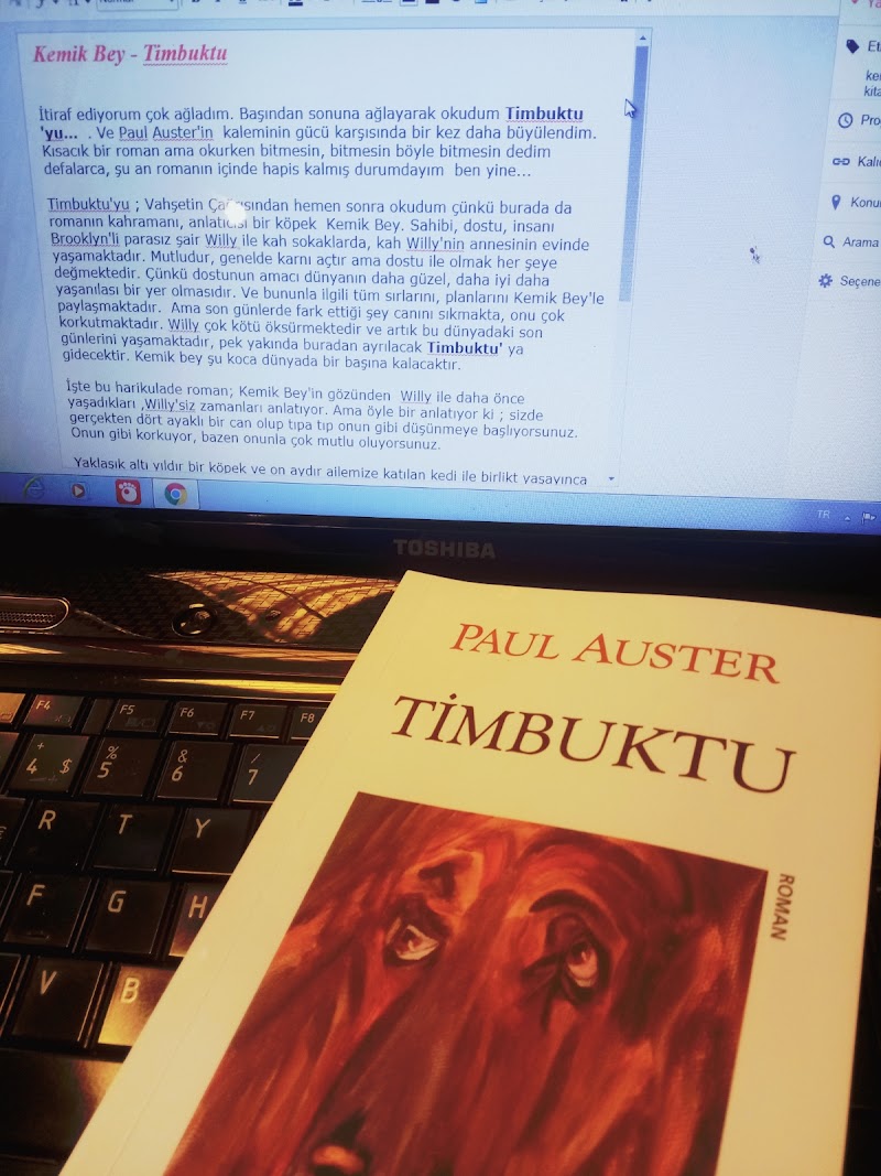 Timbuktu - Paul Auster - Kitap Yorumu