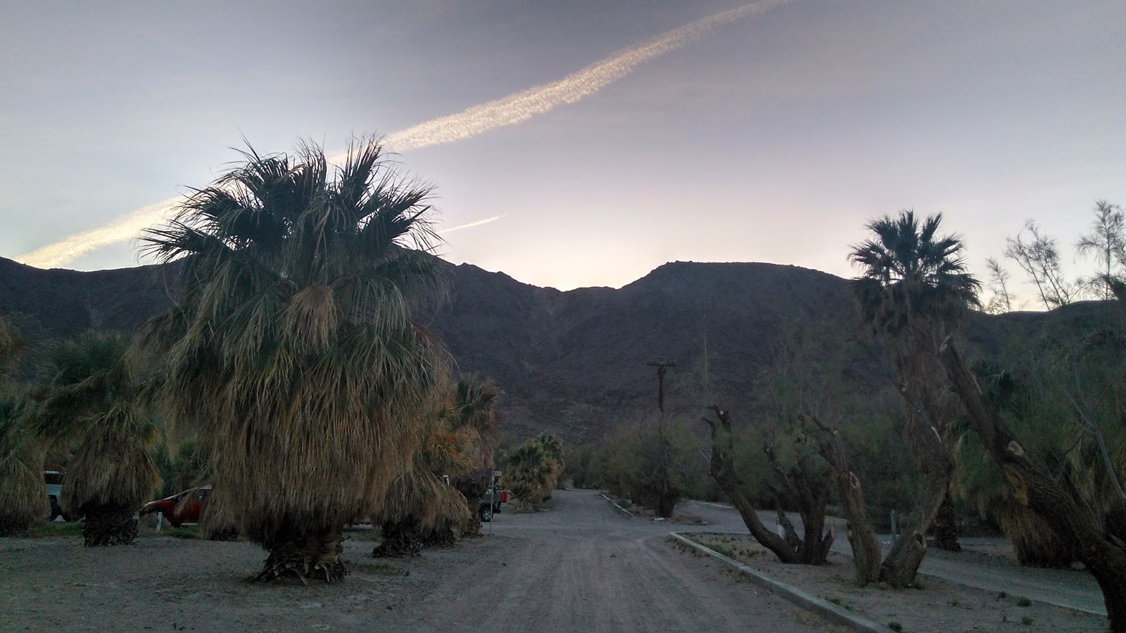 Spirit of the Desert: An Oasis in the Mojave