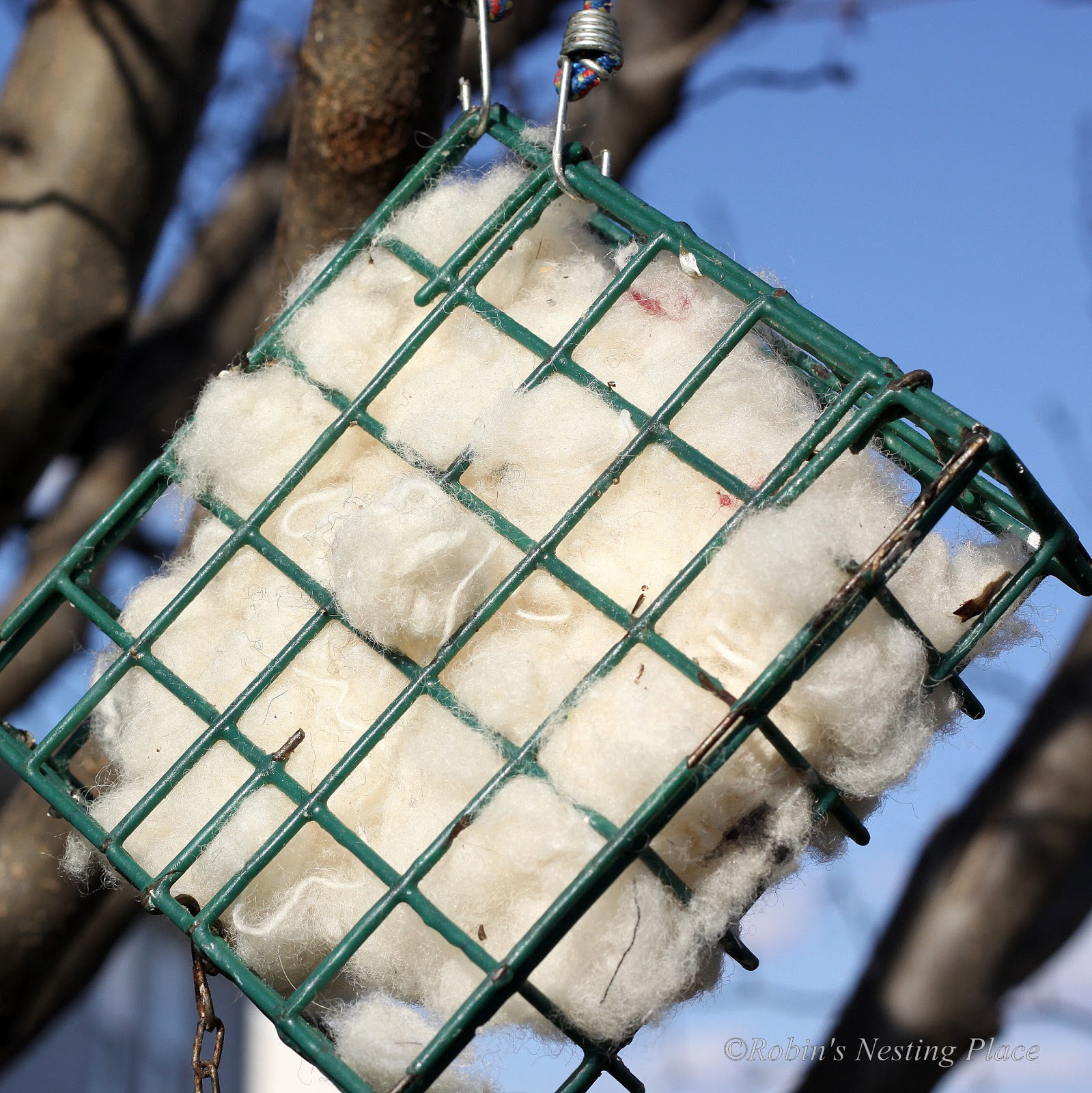 ROBINS NESTING PLACE New Teapot Birdhouse