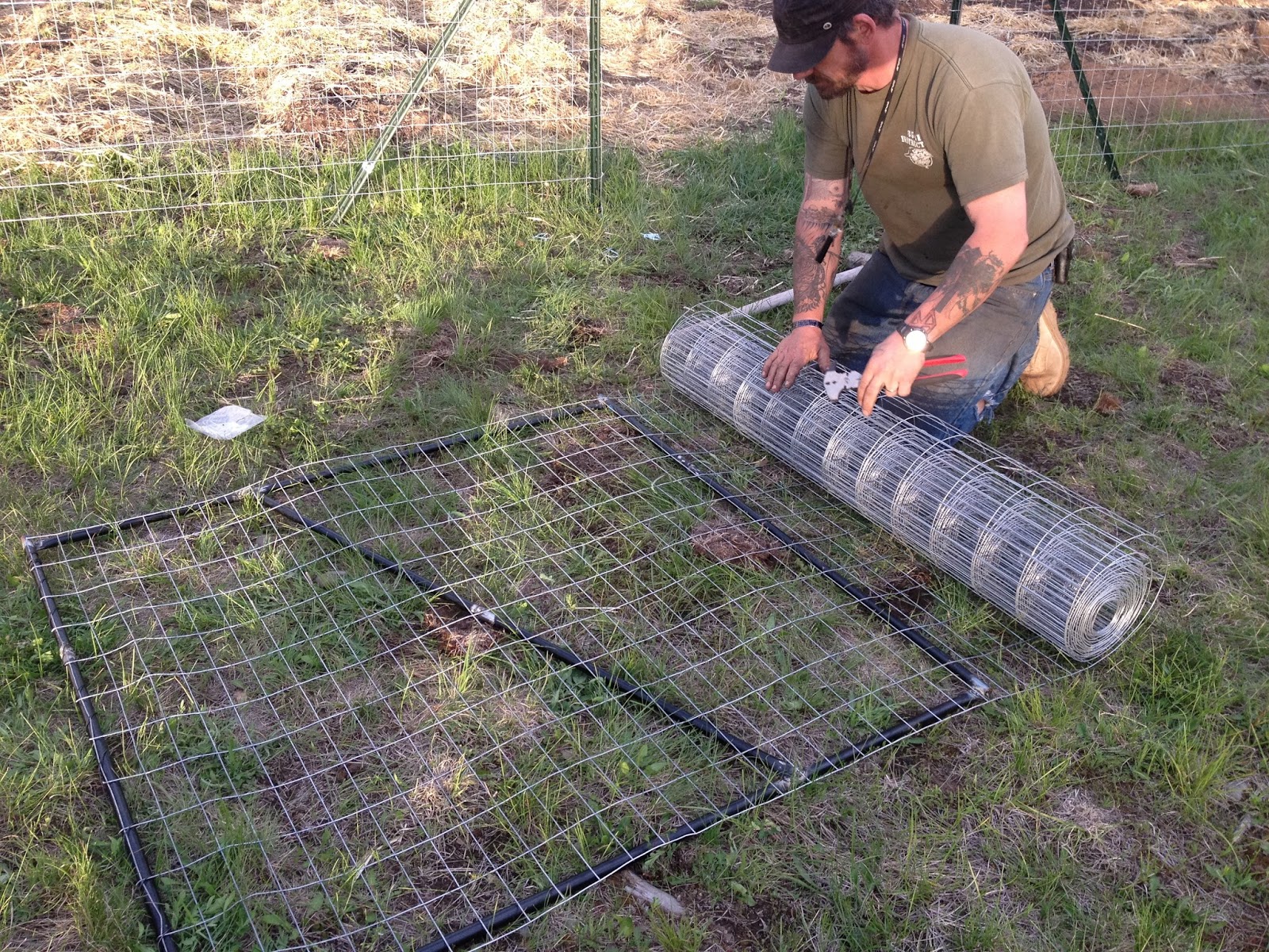 Survivology 101: 2013-05-19