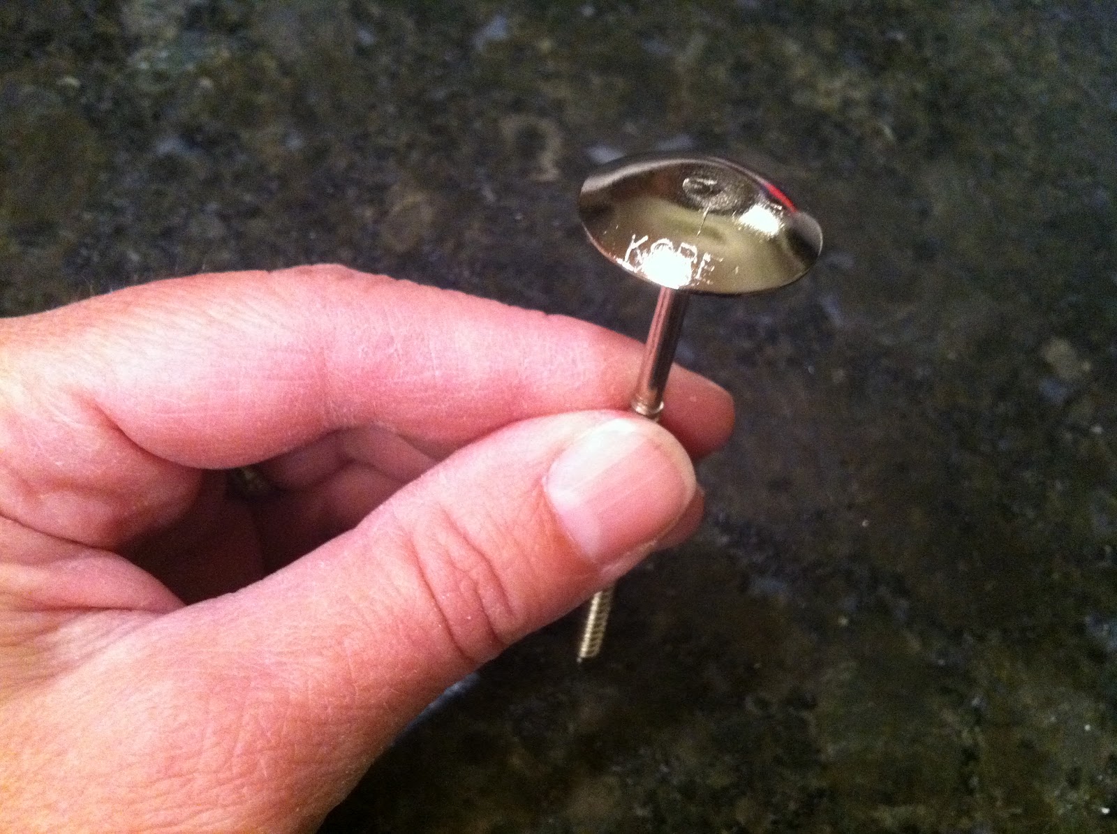 The Iced Queen Piping Roses with Tip 101s