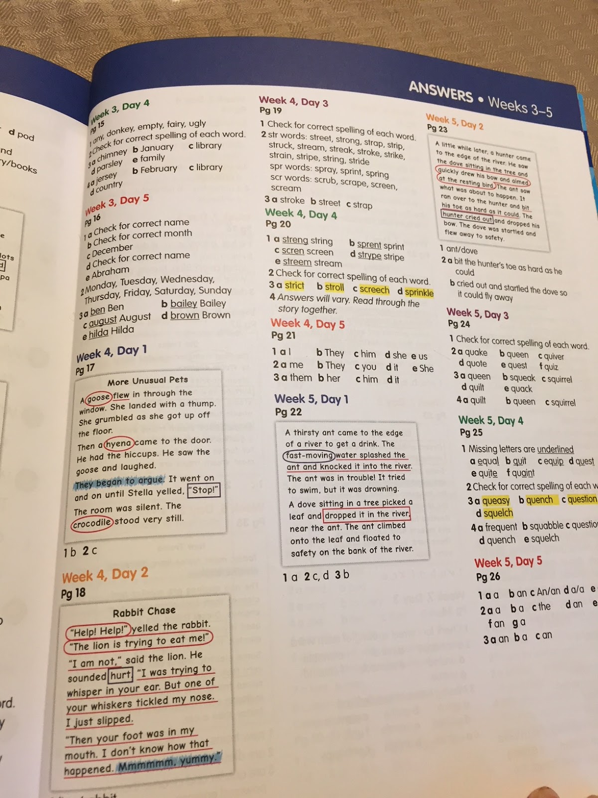 reading-eggs-workbook-review-treasuring-life-s-blessings