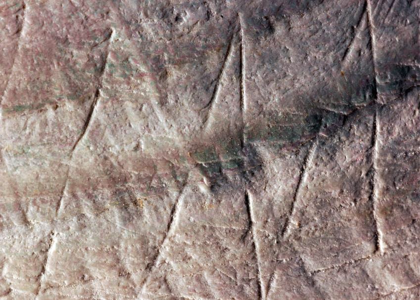 Oldest ever engraving discovered on 500,000-year-old shell