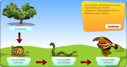 cadena alimenticia google translate alfred romero google cadena alimenticia google translate alfred romero google