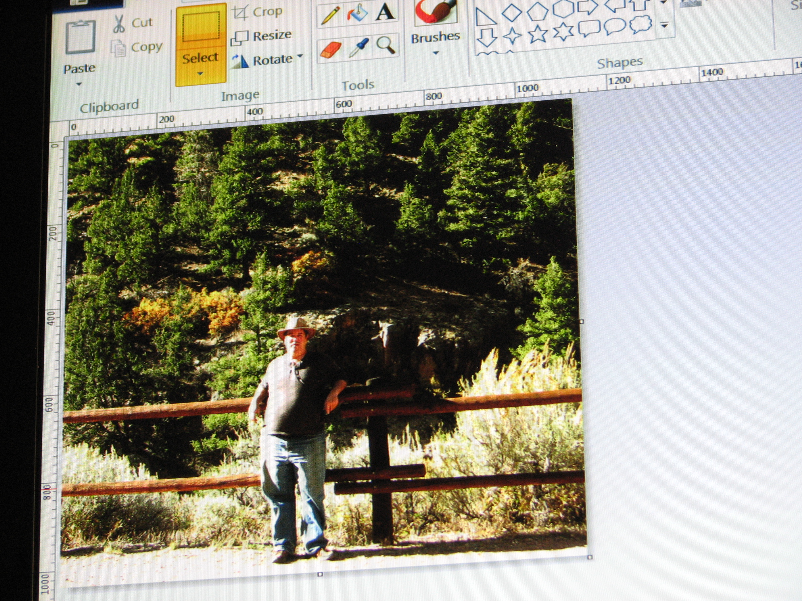 DIY Cropping In Microsoft Paint