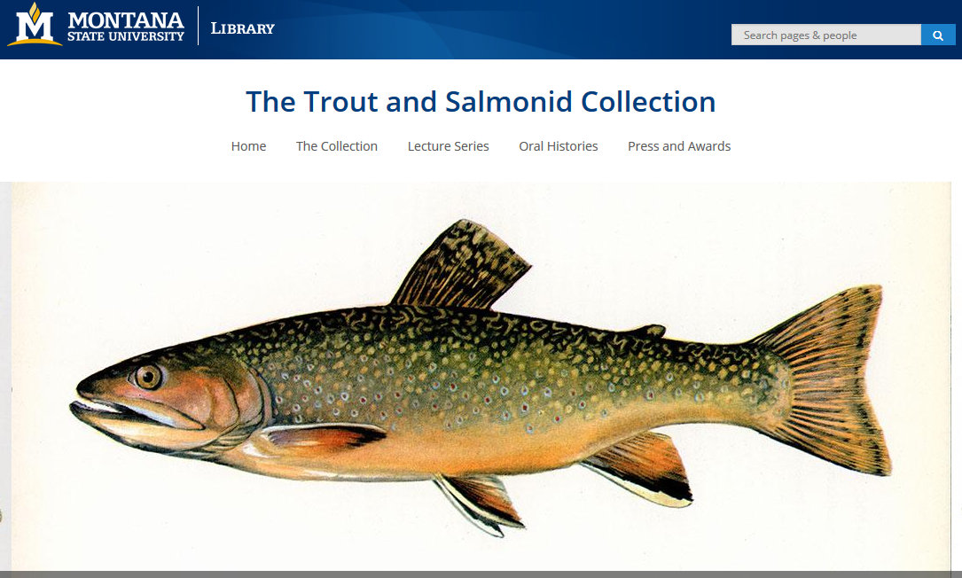 The Fiberglass Manifesto MSU The Trout and Salmonid Collection