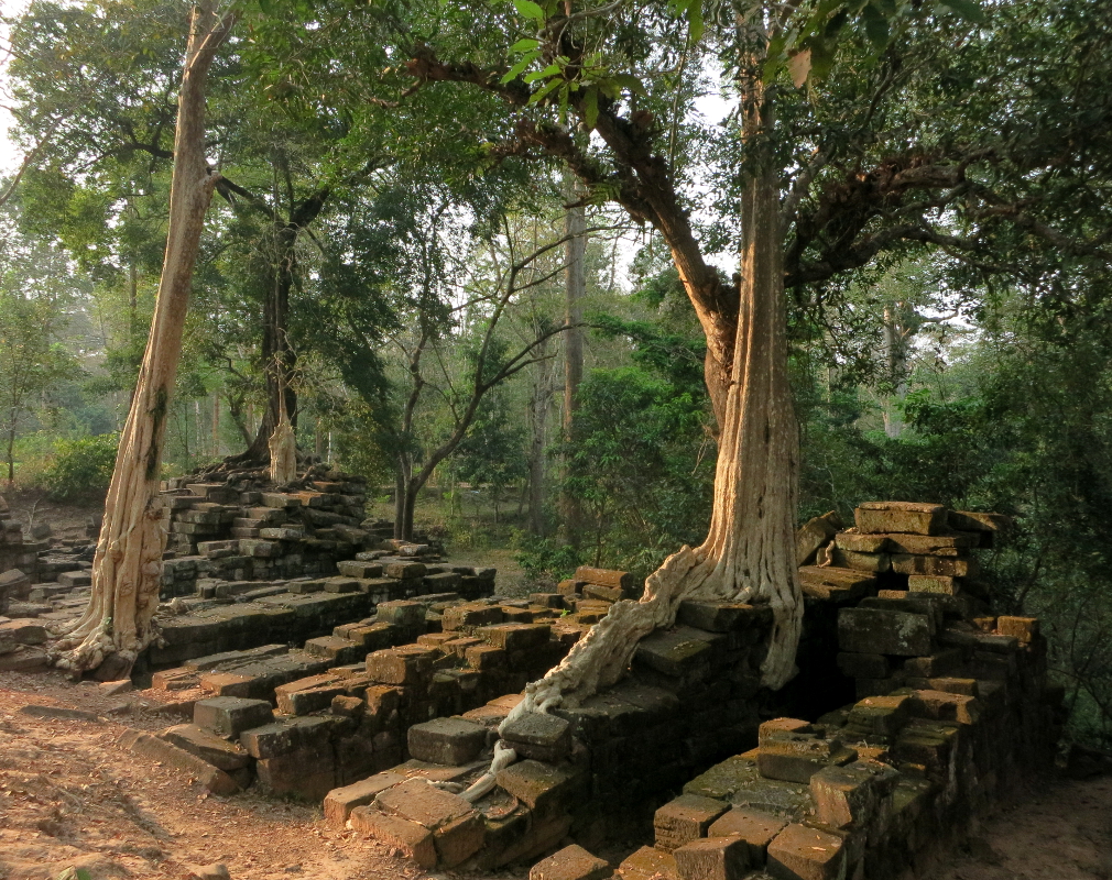 Велосипедная прогулка по Ангкору
