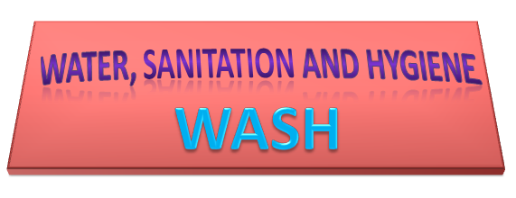 Water, Sanitation and Hygiene (www.naabadi.net)