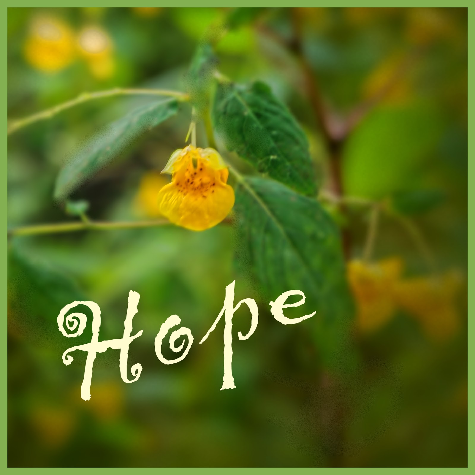 Everyday with Mary May Christian Hope, Terrorists and Facing Evil Blog