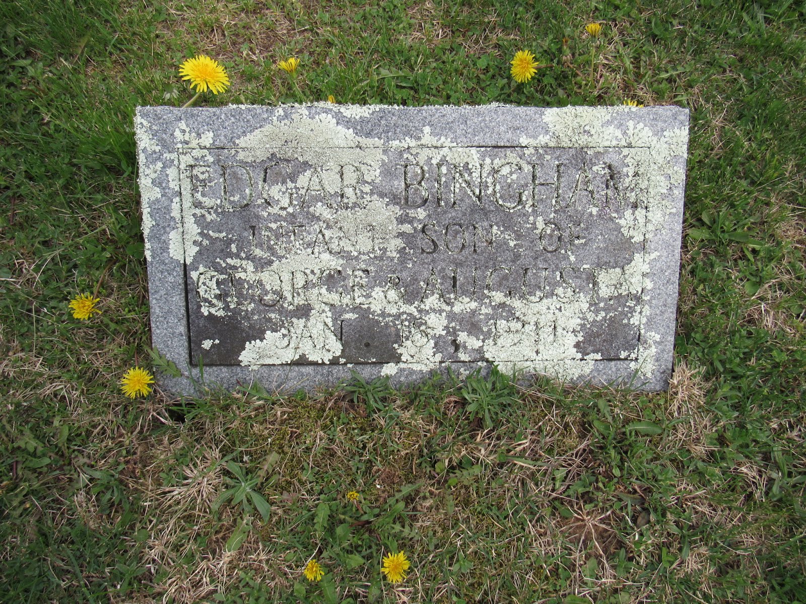 A Walk Through The Tombstones Bingham Cemetery