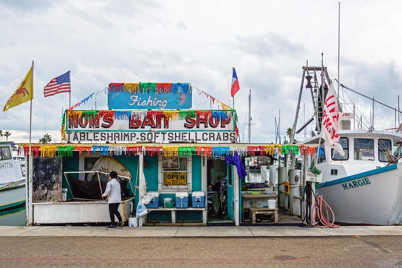Excursionistas2 Winter Texans (Part 2)