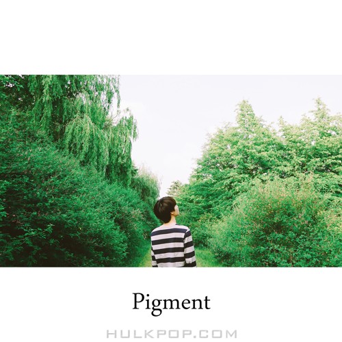 Pigment – Boyhood – Single